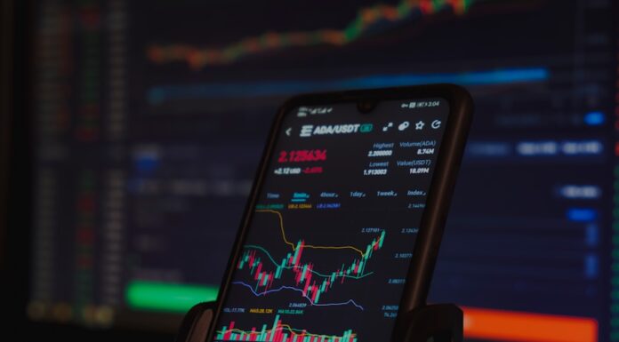 Tendințe și previziuni pentru piața criptomonedelor în 2024: Ce ar trebui să știi înainte de a investi