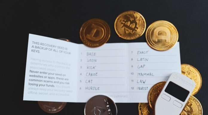 Portofele de criptomonede: Cum să-ți asiguri că activele tale digitale sunt în siguranță și protejate