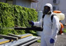 Contract DDD în București și servicii cu certificare CEPA — calitate documentată, rezultate garantate