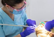 Dentist în Sectorul 5 București: cum Cris Smile Studio a transformat îngrijirea dentară locală