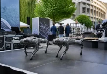 Câini-roboți și microtehnologii, demonstrații de cercetare la Iași Câini-roboți și microtehnologii, demonstrații de cercetare la Iași